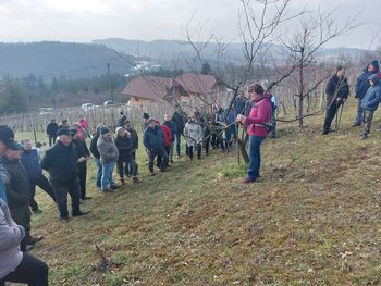 Na Liscu opravili prikaz obrezovanja sadnega drevja