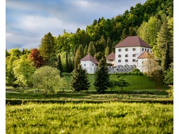 Sprehajalna rekreacijska pot pod krošnjami