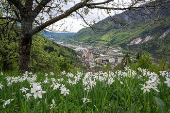 Voščilo ob občinskem prazniku