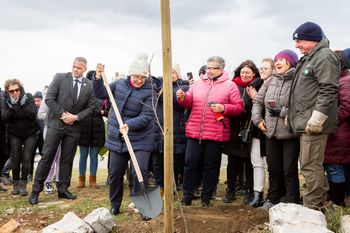 Zveza prijateljev mladine Slovenije ob 70. letnici posadila 70 dreves