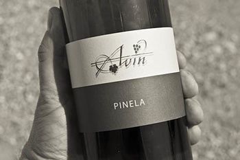 Osmica Avin