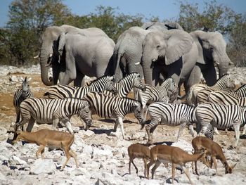Potopisno predavanje: Po Namibiji (Janez Mihovec)