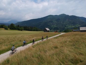 Z gorskimi kolesi po Bohinjski kolesarski poti