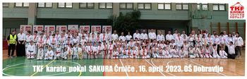 Pokal SAKURA Črniče 2023