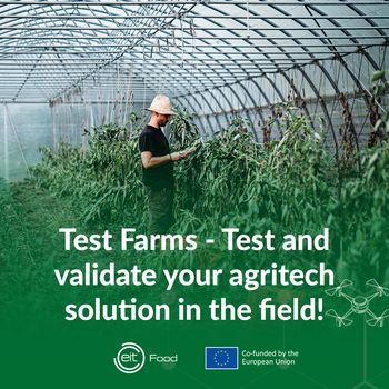 Testirajte idejo na polju, kmetiji ali v sadovnjaku - pridružite se programu Test Farms