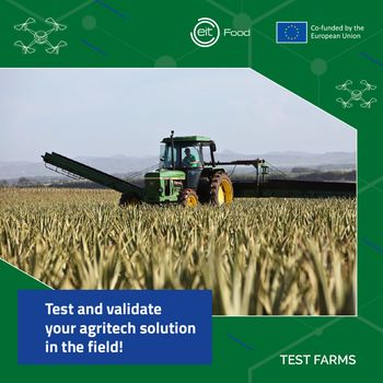 Testirajte idejo na polju, kmetiji ali v sadovnjaku - pridružite se programu Test Farms