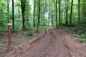 Otvoritev novega otroškega igrišča na Koščakovem hribu