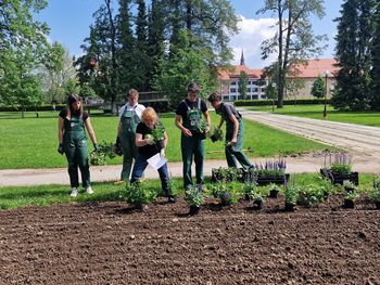 Nova greda s trajnicami v simbolih mesta za lepši park in Celje 