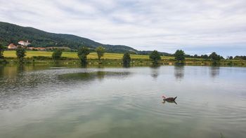 Ribiška liga paraplegikov