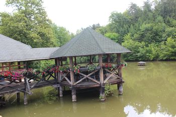 DAN ODPRTIH VRAT LOVSKE DRUŽINE VOJNIK IN ČEBELARSKEGA DRUŠTVA VOJNIK