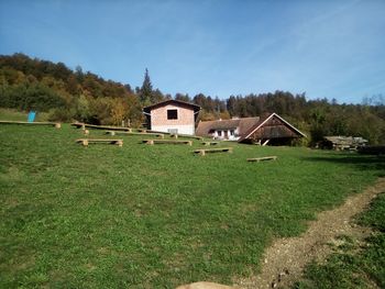 Gozdni odmiki poletje 2023 Odrasli in otroci