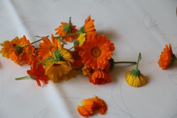Enostavno, naravno in učinkovito!