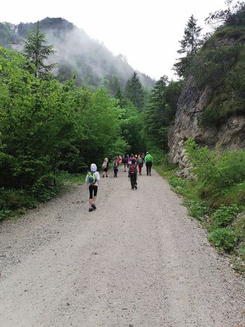 Učenci planinskega krožka na Planinci