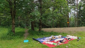 Posebno gozdno doživetje