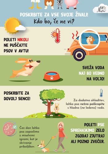 BrezSKRBNO poletje in živali