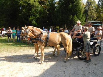 Konjerejci in konjeniki Sevnica v  Beli krajini