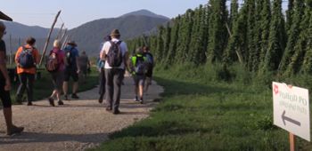 Občina Žalec znova uspešna na razpisu Evropski teden mobilnosti 2023