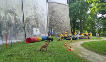 Kinološko društvo Posavje se je predstavilo na Dnevu za družine