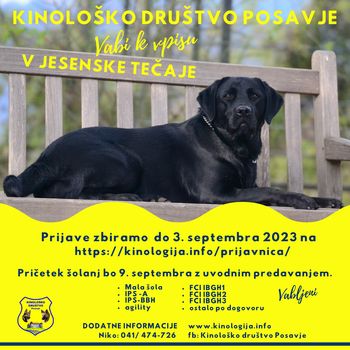 Vpis v jesenske tečaje Kinološkega društva Posavje
