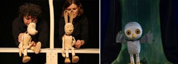 Obvestilo: Sovica Oka se seli v Festivalno dvorano