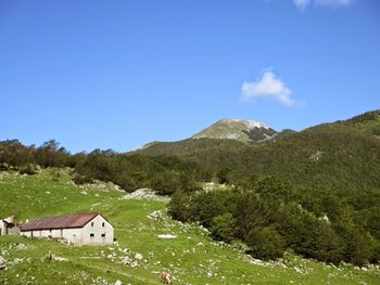 Planinski izlet na Krasji vrh 3.9.2023