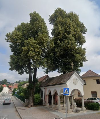 Sečnja lipe pri spominski kapeli padlim v 1. sv. vojni