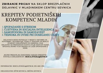 Sklop brezplačnih delavnic v MC Sevnica