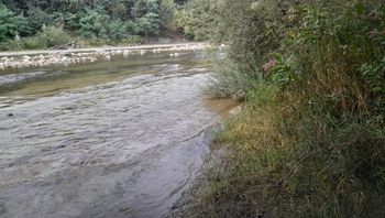 Savinja pri ribniku Vrbje ni primerna za kopanje