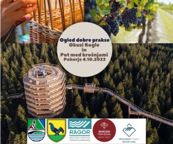 Ogled dobre prakse Okusi Rogle in Pot med krošnjami Pohorje