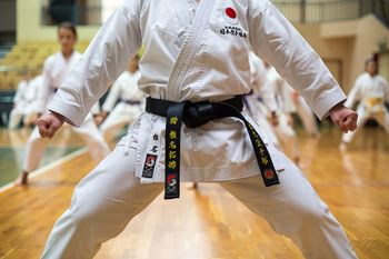 KARATE-VPIS NOVINCEV