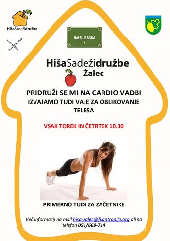 TELOVADBA (kardio, oblikovanje telesa...)