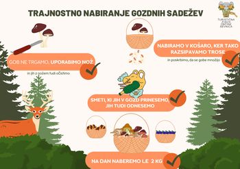 Nabiralništvo – gobarjenje