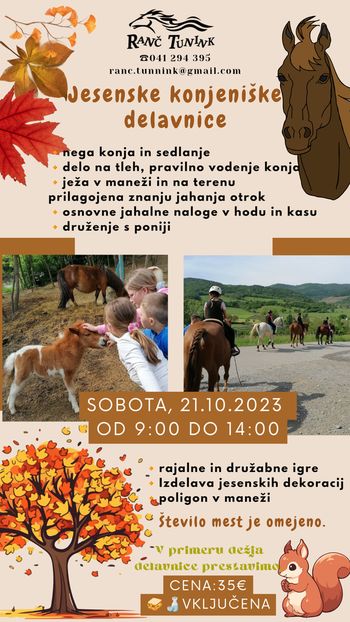 Jesenske konjeniške delavnice