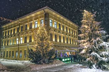 S podarjenimi smrekami bomo okrasili mestne ulice