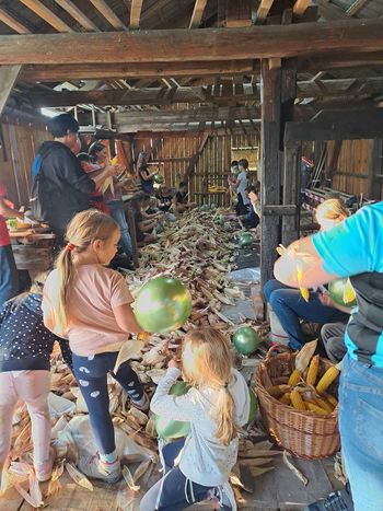 14. tradicionalno kožuhanje na Erčevi žagi
