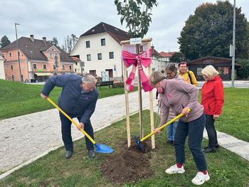 V Logatcu zasadili ROŽNATO DREVO
