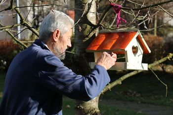 Čudovit in funkcionalen okras našega parka