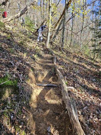 Delovna akcija na poti do Adijevega bivaka in Krožni učni poti Bodika