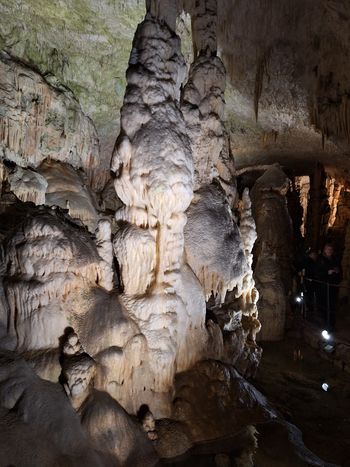 IZLET DRUŠTVA UPOKOJENCEV BILJE – POSTOJNSKA JAMA, ŠTANJEL
