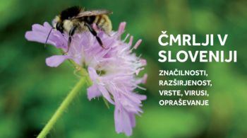 Predstavitev knjige ČMRLJI V SLOVENIJI. ZNAČILNOSTI, RAZŠIRJENOST, VRSTE, VIRUSI, OPRAŠEVANJE