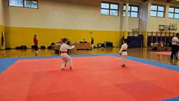 Kozjanski zmaj open
