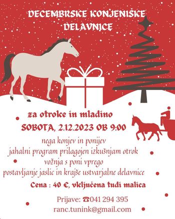 Decembrske konjeniške delavnice z Rančom Tunink