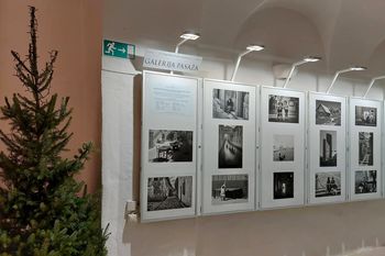 Društvena pregledna razstava 2023 – I. del