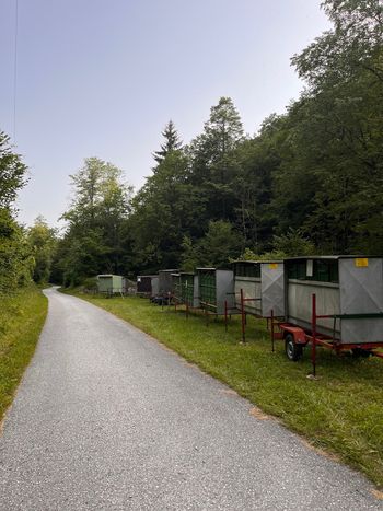 Polna Doblarska dolina