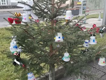 Otroci iz vrtcev občine Trebnje okrasili smrekice v mestnem parku