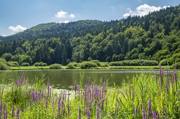 Predstavitev priložnostne znamke Podpeško jezero