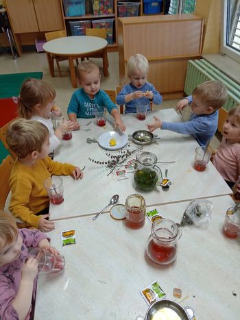 Aktivnosti v okviru eko projekta Zdravo in odgovorno s hrano