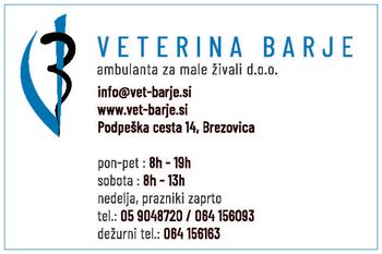 Poziv občanom - sterilizacija in kastracija lastniških mačk