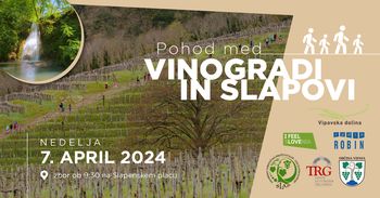 Pohod med vinogradi in slapovi 