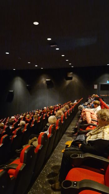 Gremo v kino